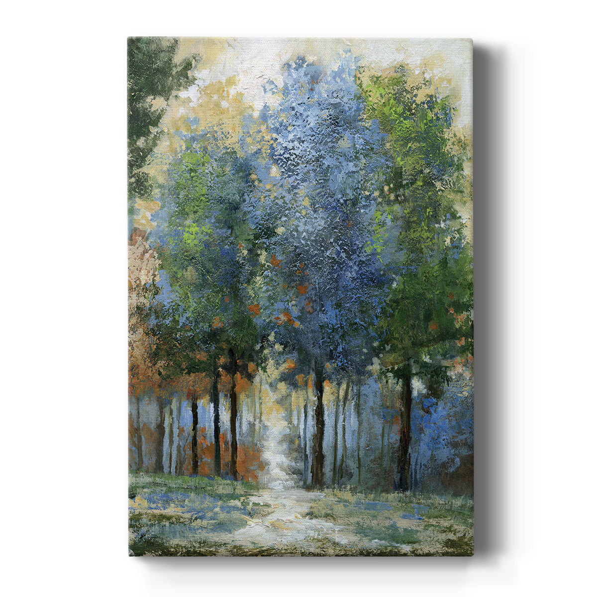 Afternoon Light - Canvas Art Print