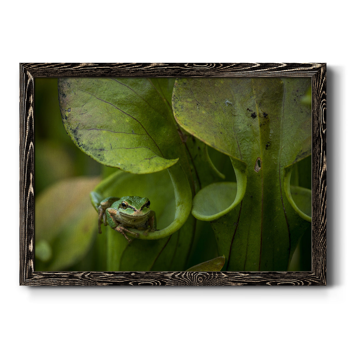 Arboreal Refuge-Premium Framed Canvas - Ready to Hang