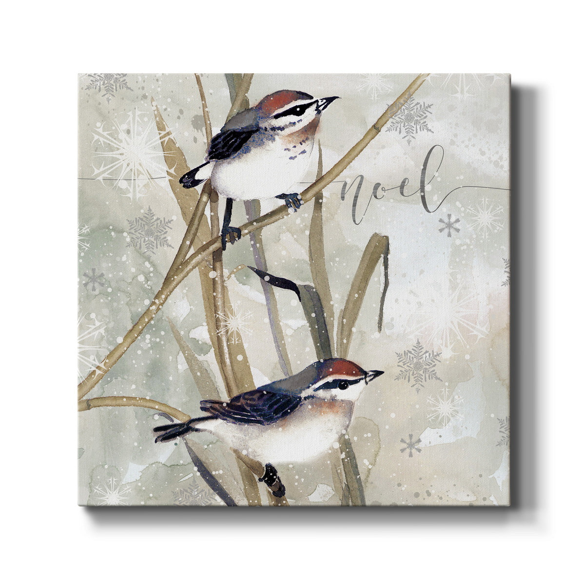 Winter Birds Noel - Canvas Art Print