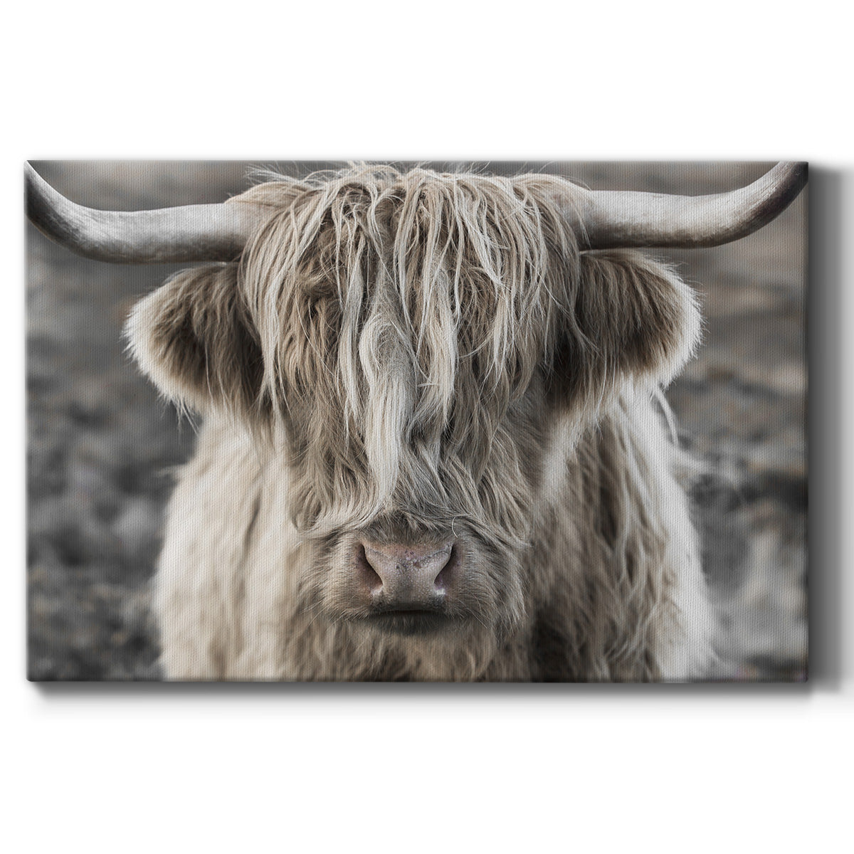 Highland Skye Premium Gallery Wrapped Canvas - Ready to Hang