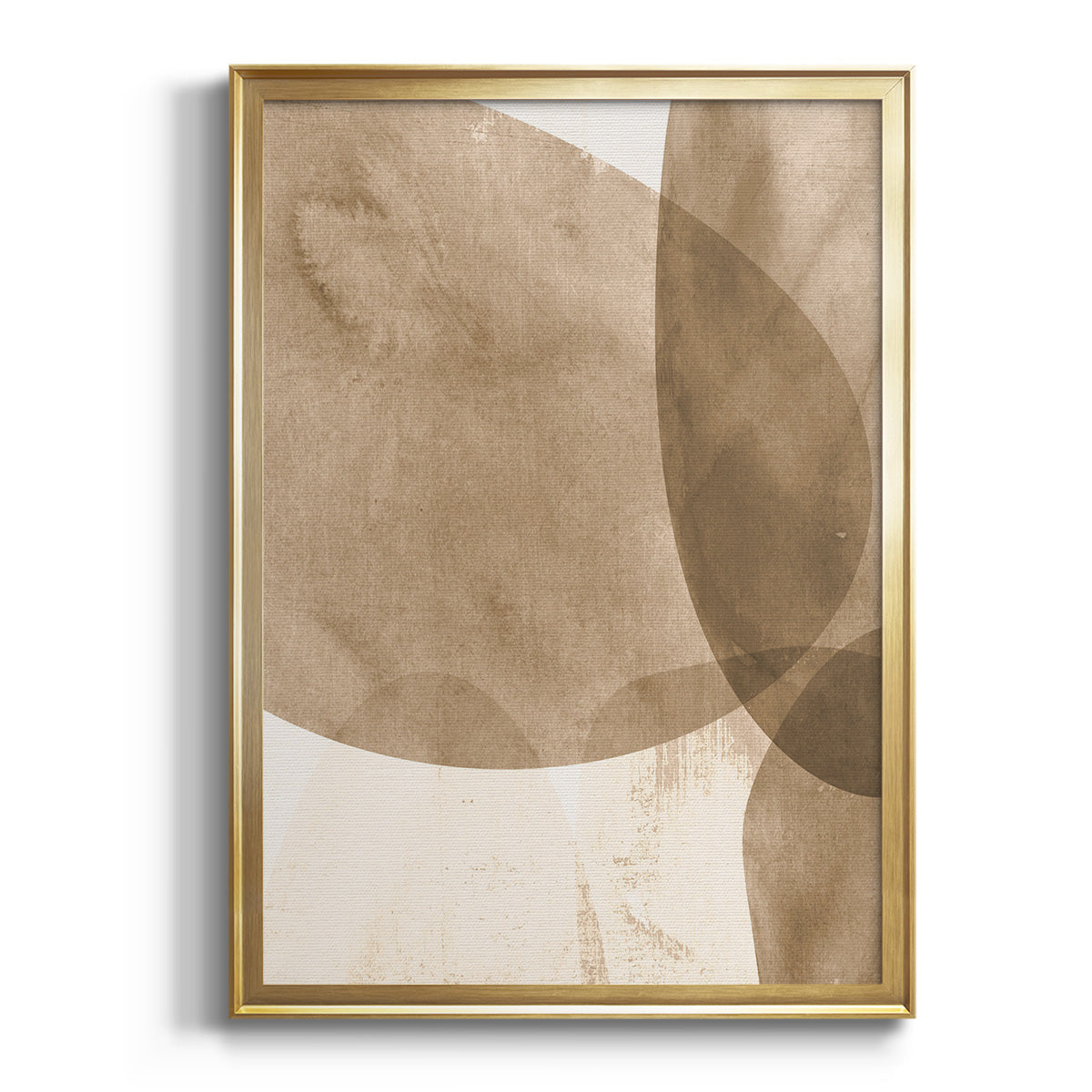 Soft Half Shell I - Modern Framed Canvas Print
