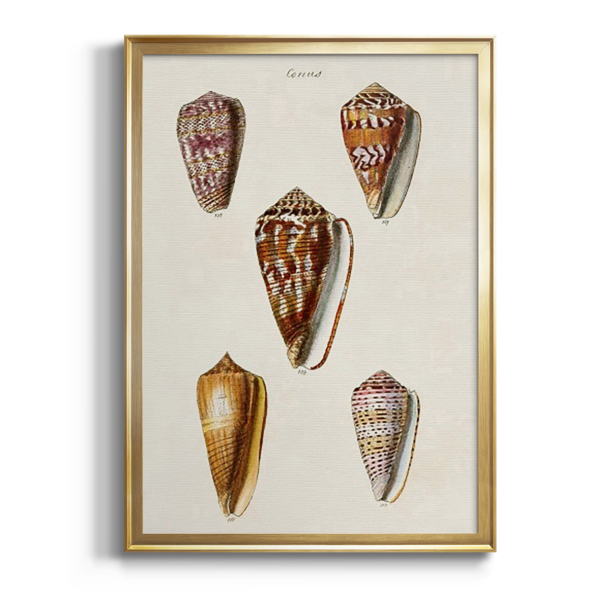 Sepia Botanical Journal I - Modern Framed Canvas Print