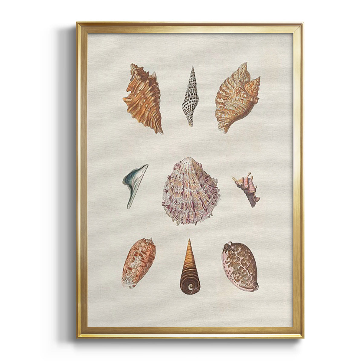 Sepia Botanical Journal I - Modern Framed Canvas Print