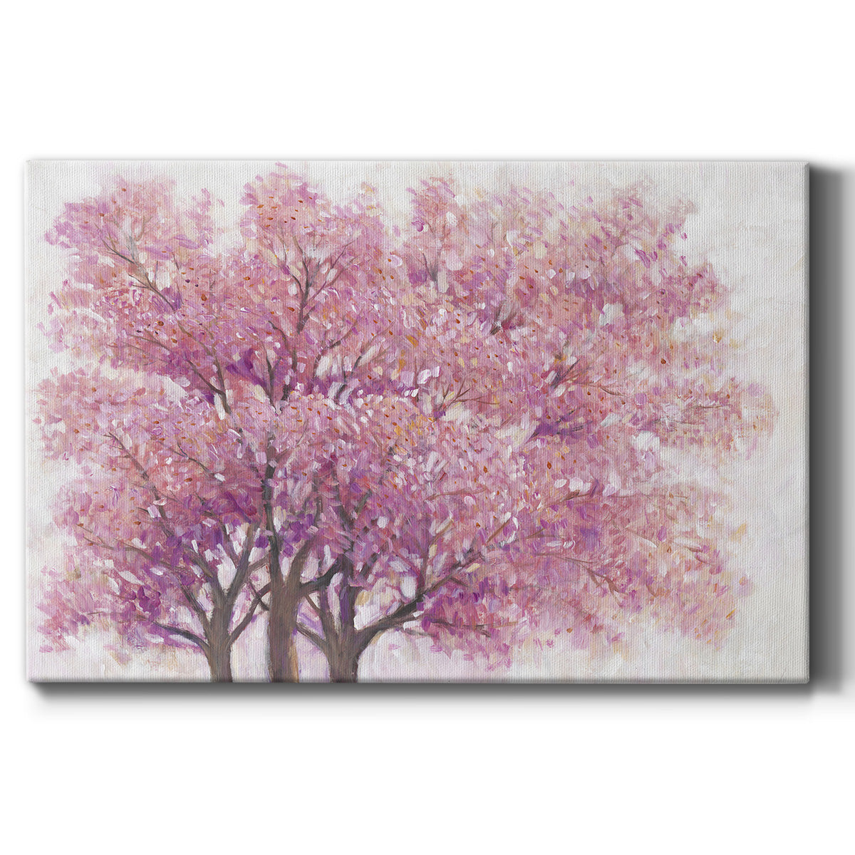 Pink Cherry Blossom Tree I - Canvas Art Print