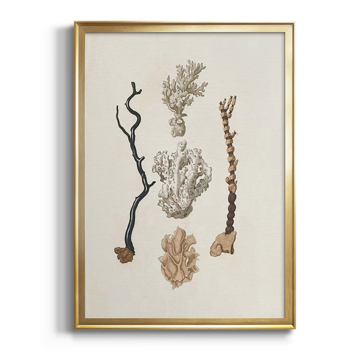 Sepia Botanical Journal I - Modern Framed Canvas Print