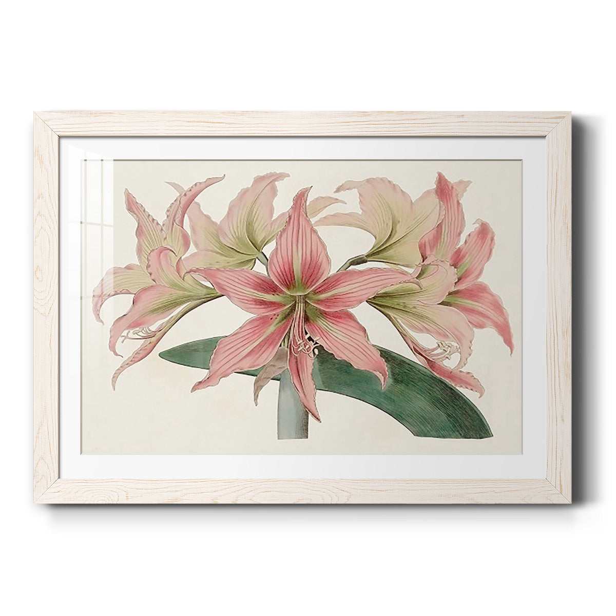 Celebrate-Premium Framed Print - Ready to Hang