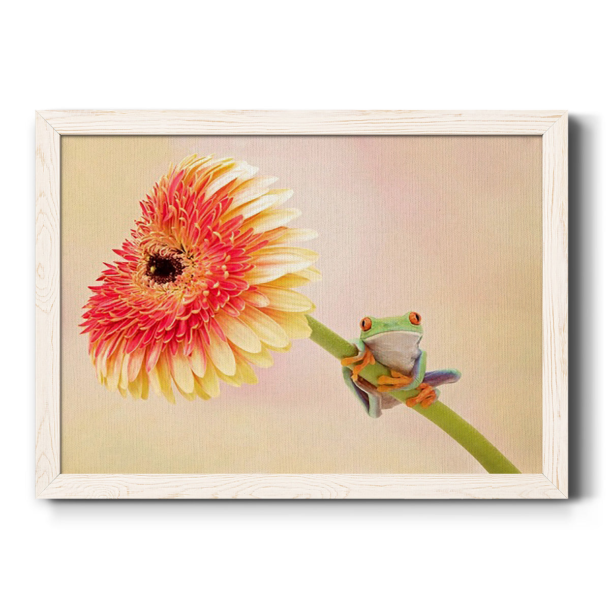 Hanging On IX-Premium Framed Canvas - Ready to Hang