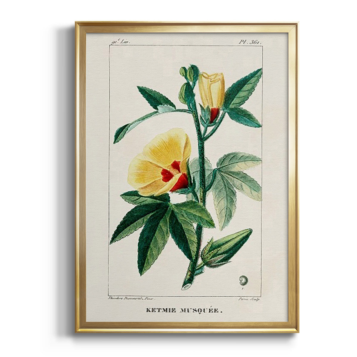 Sepia Botanical Journal I - Modern Framed Canvas Print