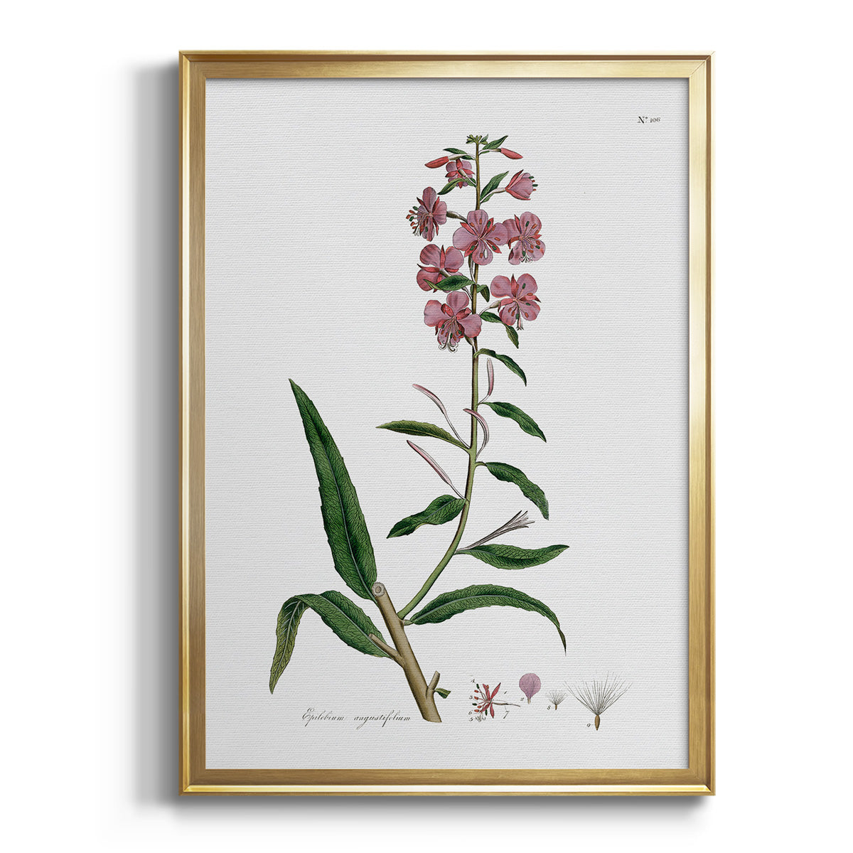 Sepia Botanical Journal I - Modern Framed Canvas Print