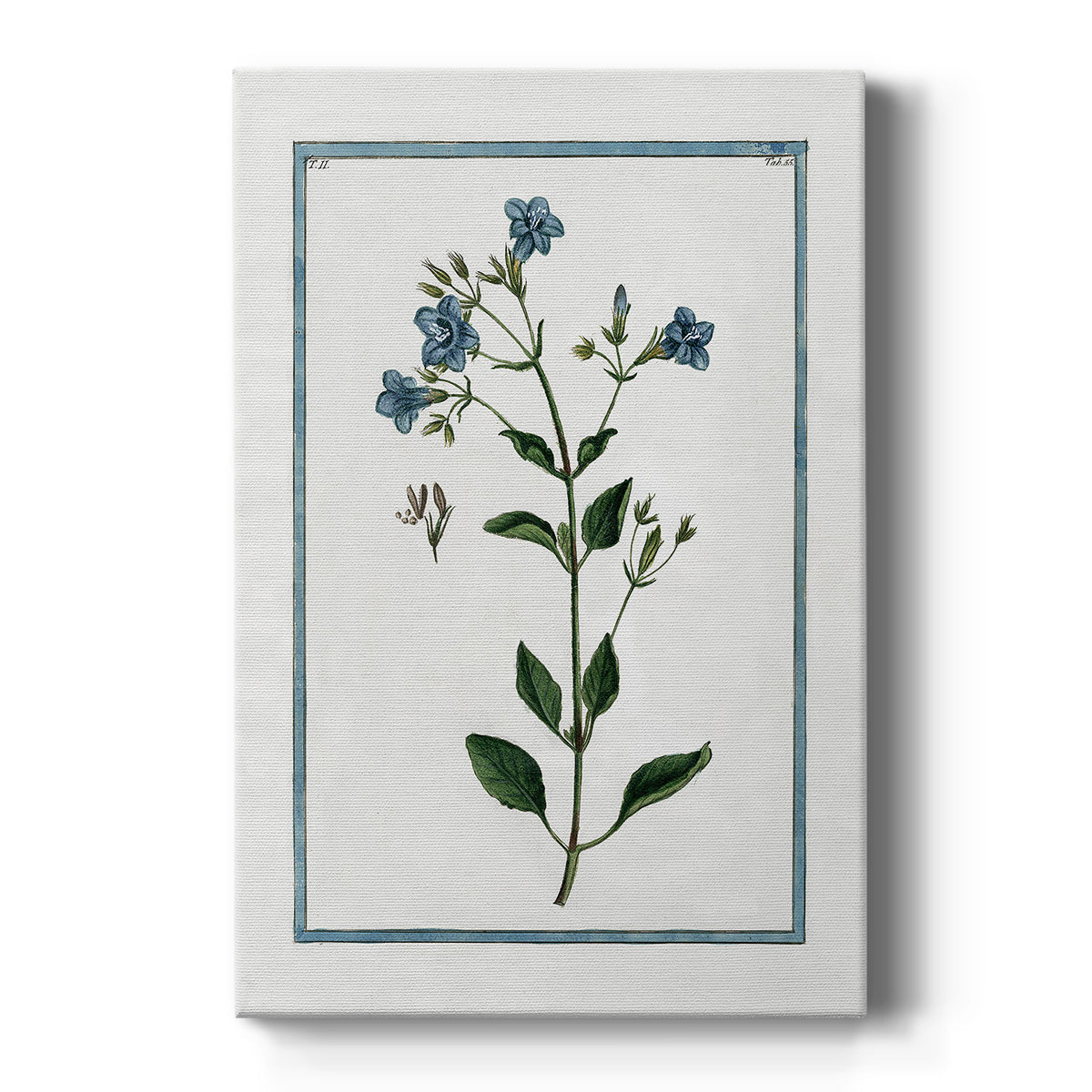 Shabby Chic Botanical II Premium Gallery Wrapped Canvas - Ready to Hang