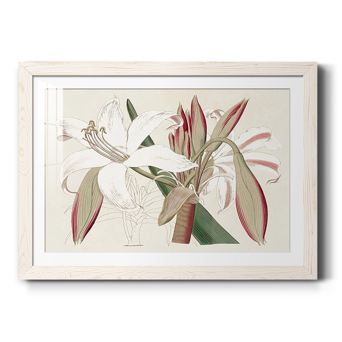 Celebrate-Premium Framed Print - Ready to Hang
