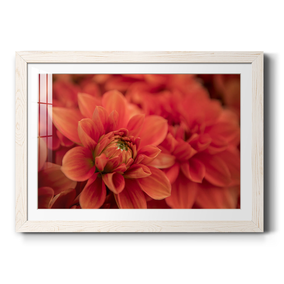 Celebrate-Premium Framed Print - Ready to Hang