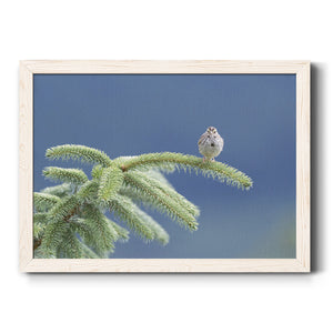 Evergreen Perch-Premium Framed Canvas - Ready to Hang