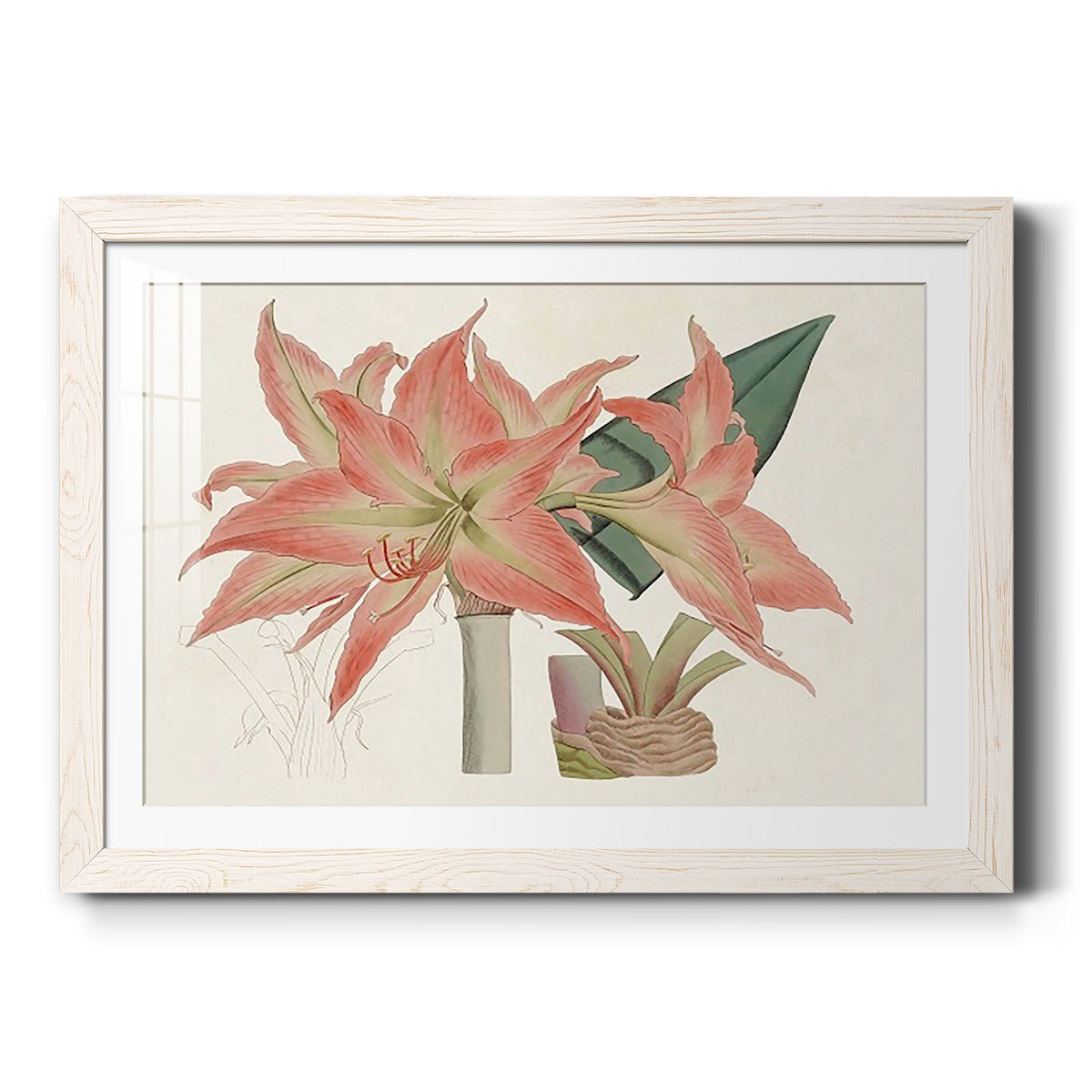 Celebrate-Premium Framed Print - Ready to Hang