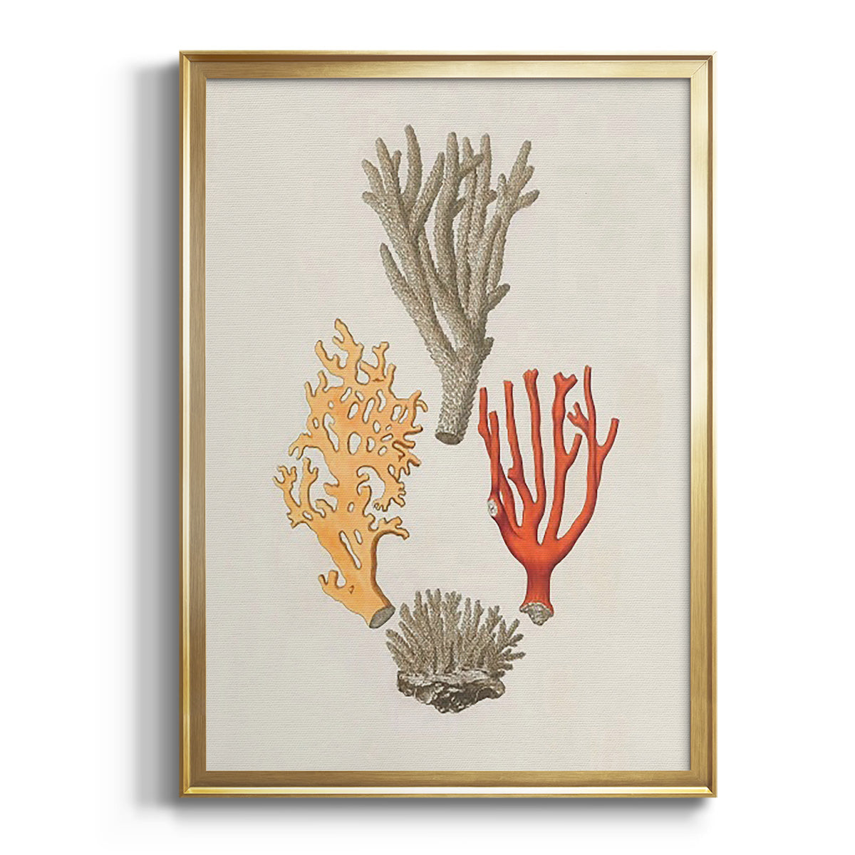 Sepia Botanical Journal I - Modern Framed Canvas Print
