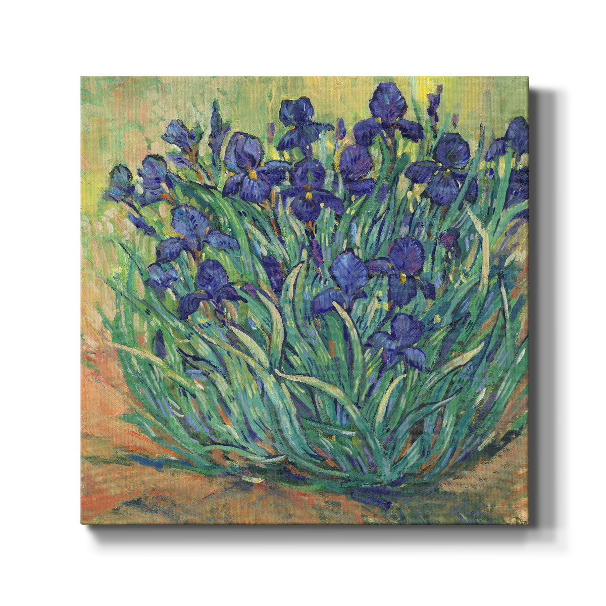 Irises in Bloom I-Premium Gallery Wrapped Canvas - Ready to Hang