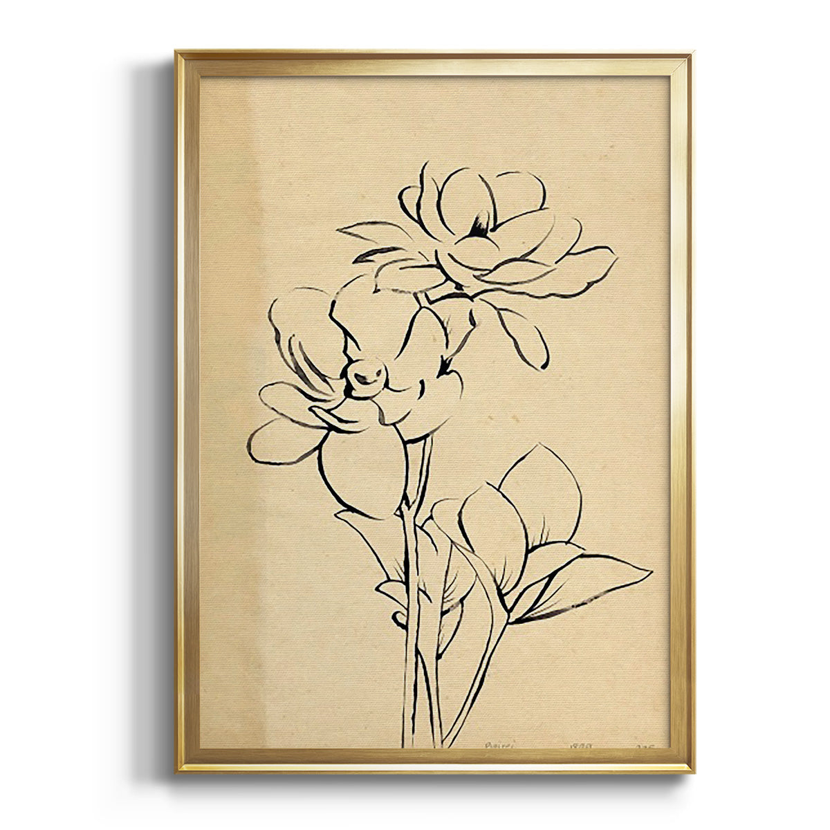 Sepia Botanical Journal I - Modern Framed Canvas Print