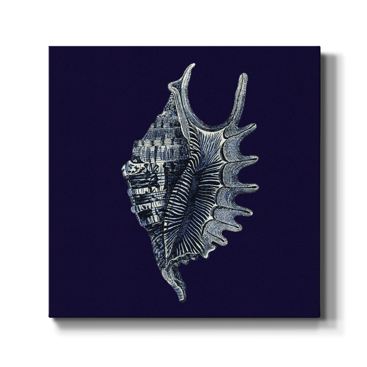 Indigo Shells VI - Canvas Art Print