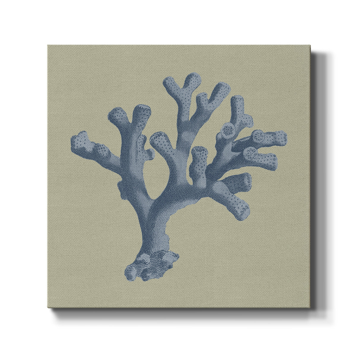 Chambray Coral II - Canvas Art Print