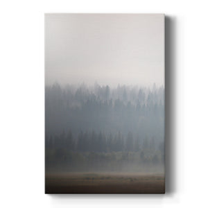 Morning Glow II Premium Gallery Wrapped Canvas - Ready to Hang