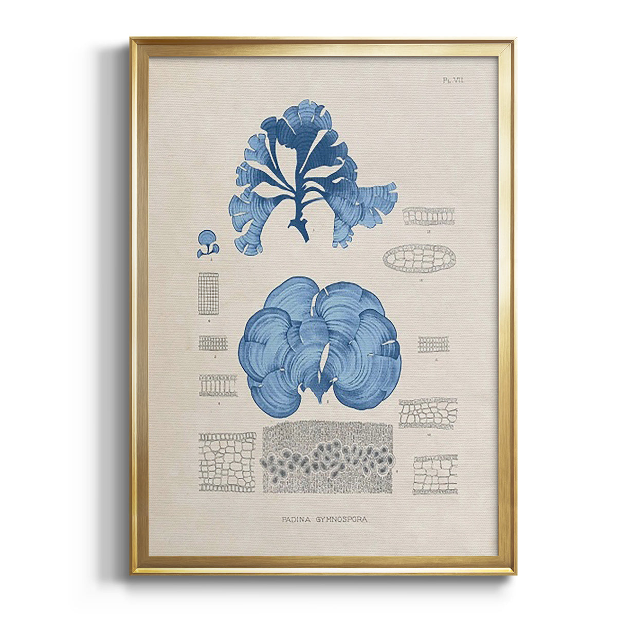 Sepia Botanical Journal I - Modern Framed Canvas Print