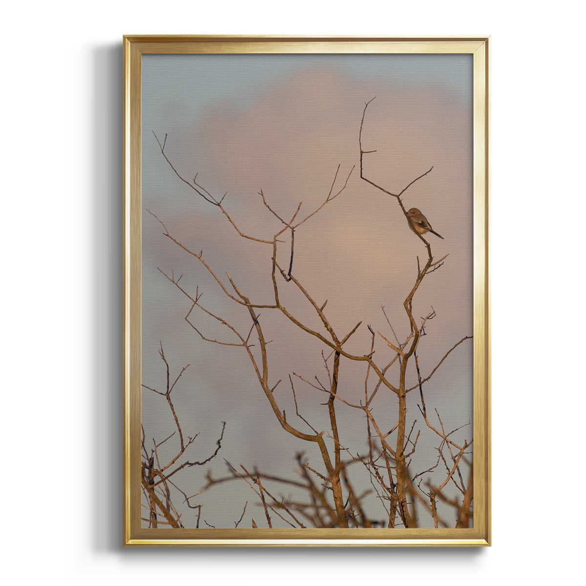 Sepia Botanical Journal I - Modern Framed Canvas Print