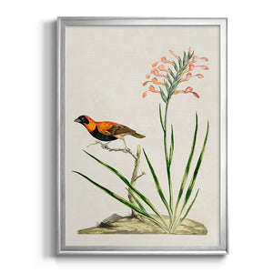 Bird in Habitat III Premium Framed Print - Ready to Hang