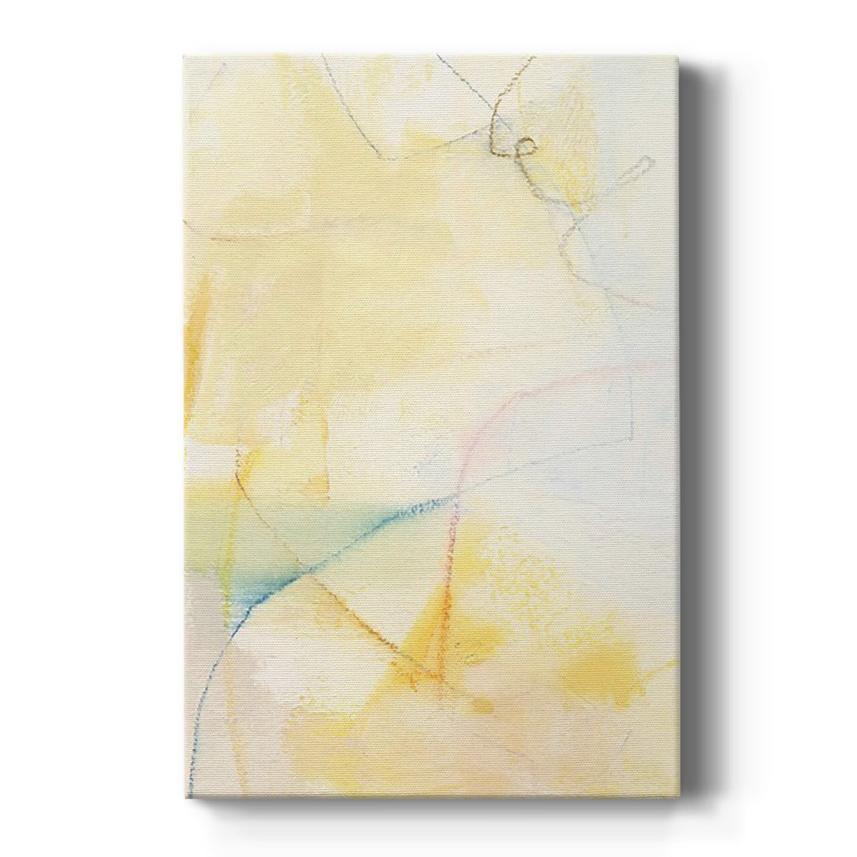 Barxan IV - Canvas Art Print