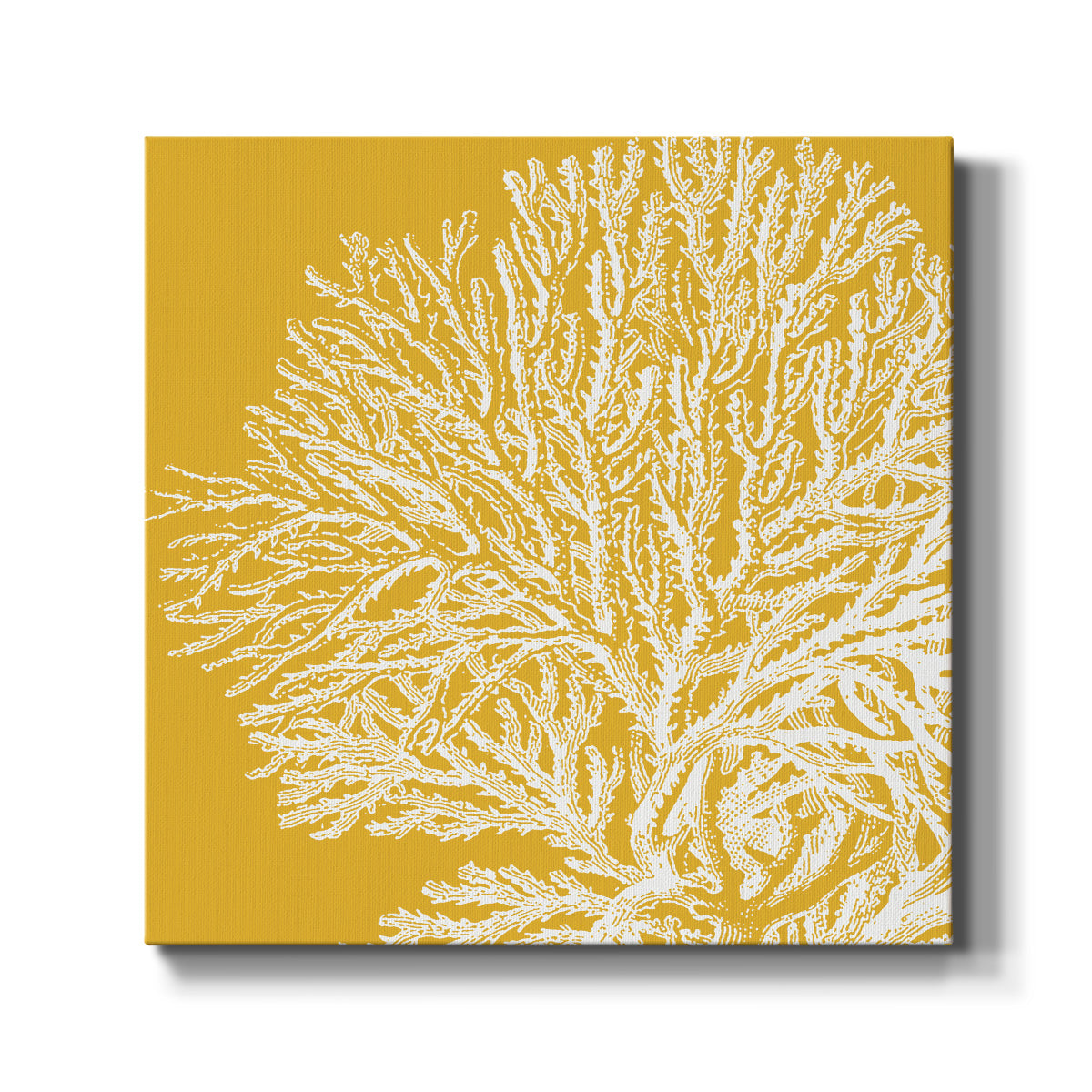 Saturated Coral I - Canvas Art Print