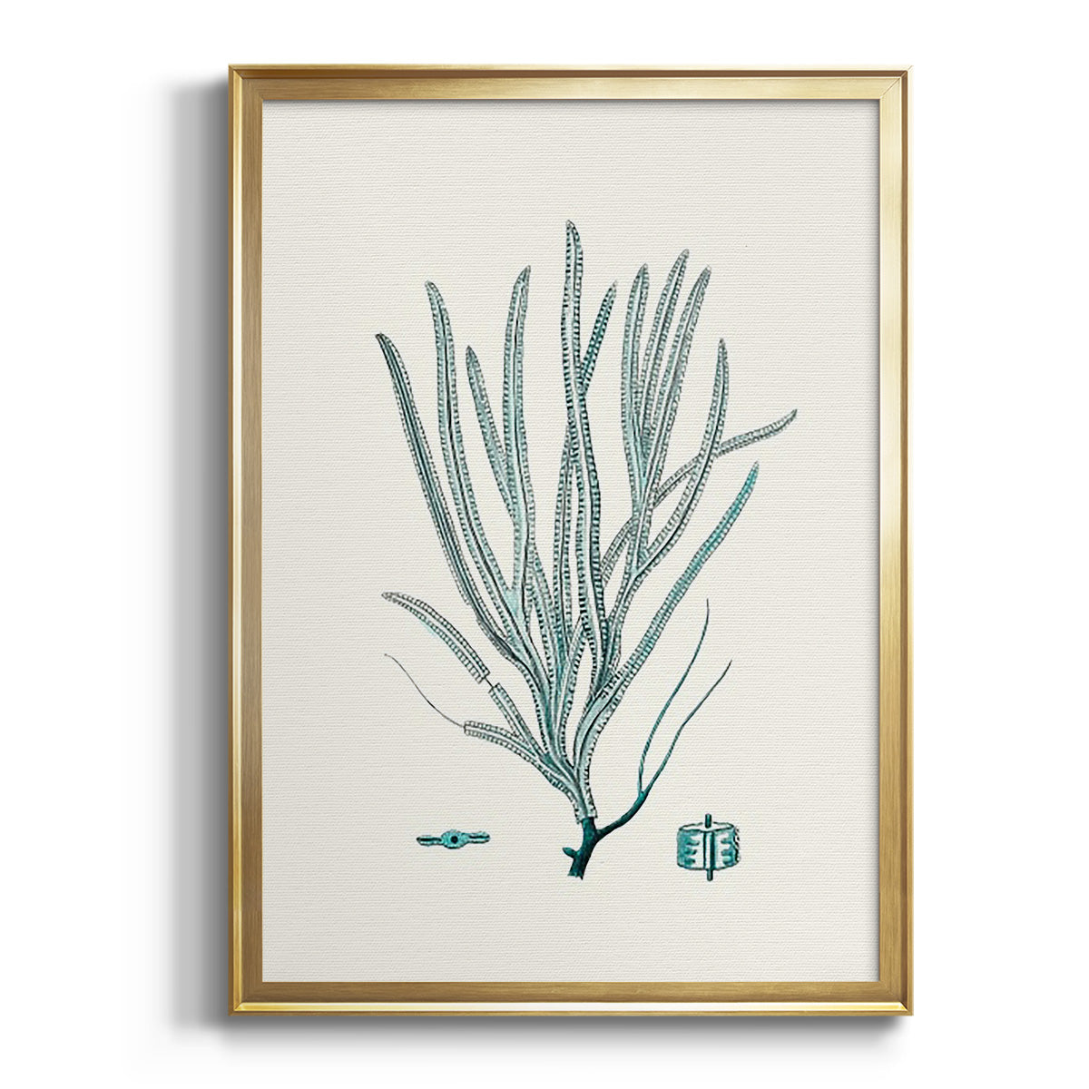 Sepia Botanical Journal I - Modern Framed Canvas Print