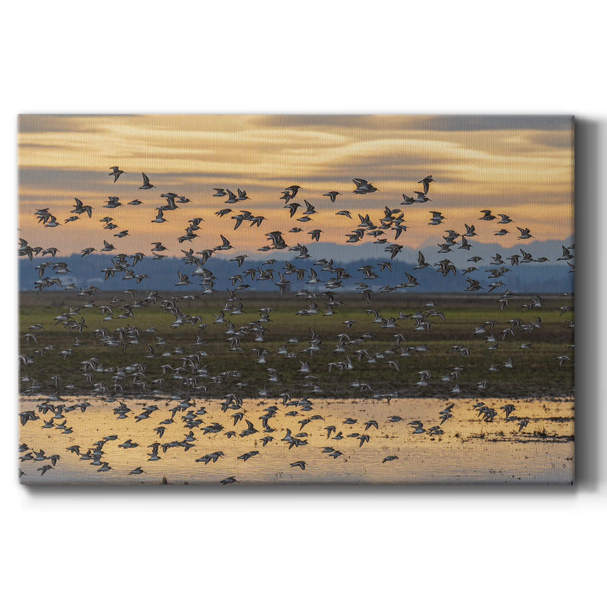 Sunset Flight Premium Gallery Wrapped Canvas - Ready to Hang