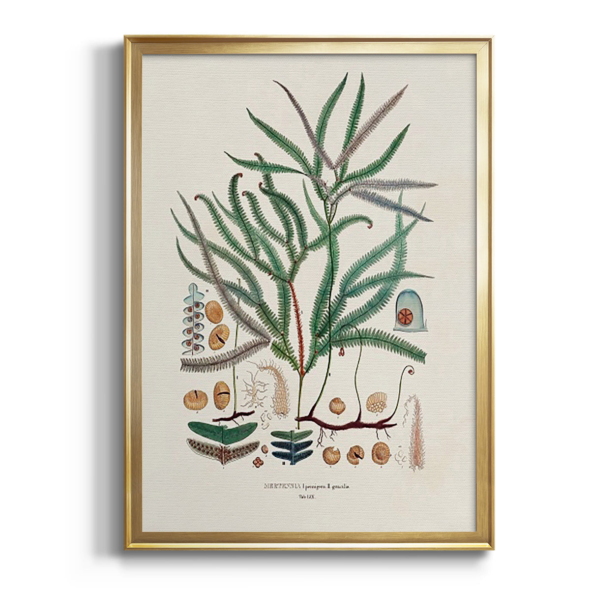 Sepia Botanical Journal I - Modern Framed Canvas Print