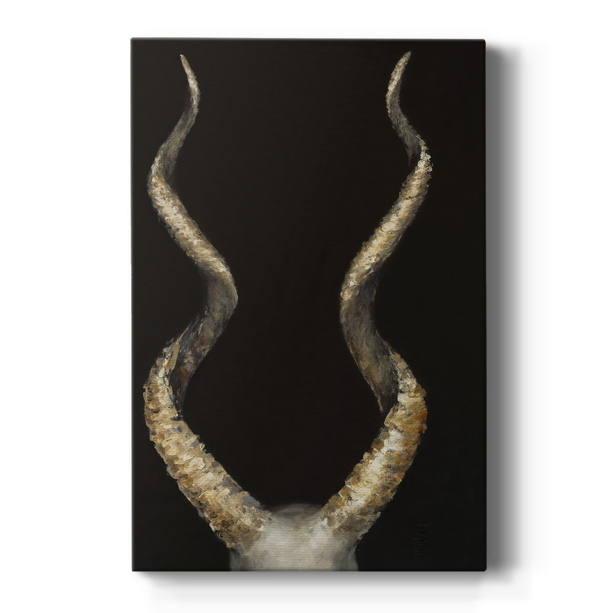 Spiral Antelope Horns Premium Gallery Wrapped Canvas - Ready to Hang