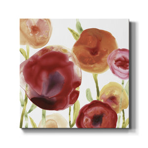 Poppy Patch III-Premium Gallery Wrapped Canvas - Ready to Hang