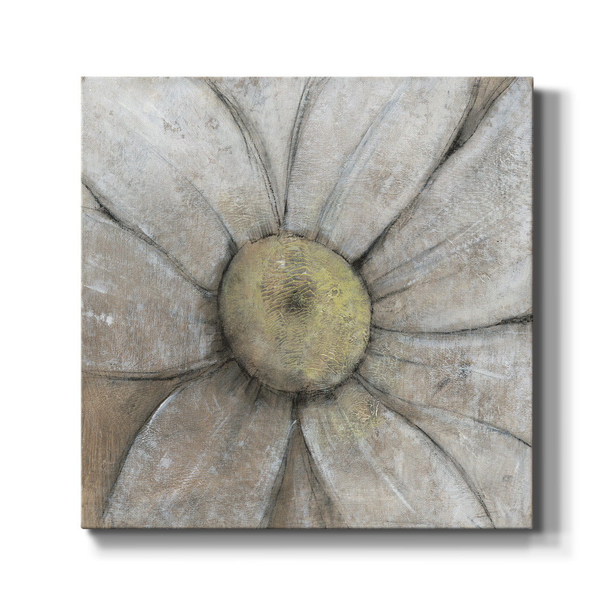 Close-Up Daisy II - Canvas Art Print