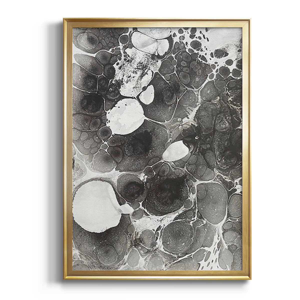 Sepia Botanical Journal I - Modern Framed Canvas Print