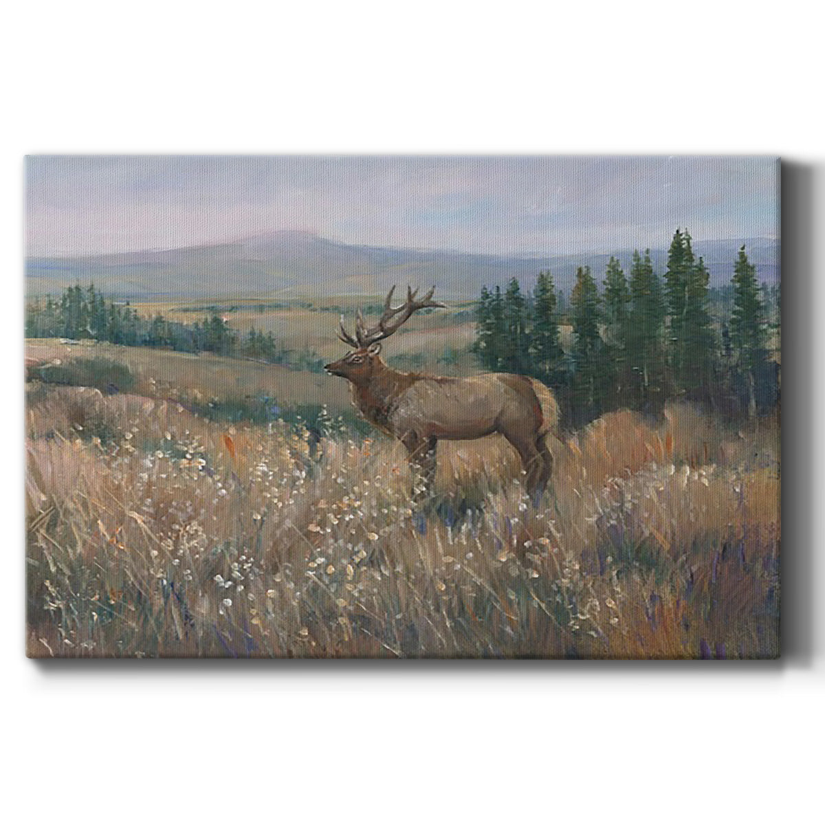 Western Wildlife II Premium Gallery Wrapped Canvas - Ready to Hang