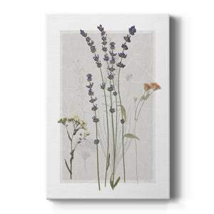 Field Study Page I Premium Gallery Wrapped Canvas - Ready to Hang