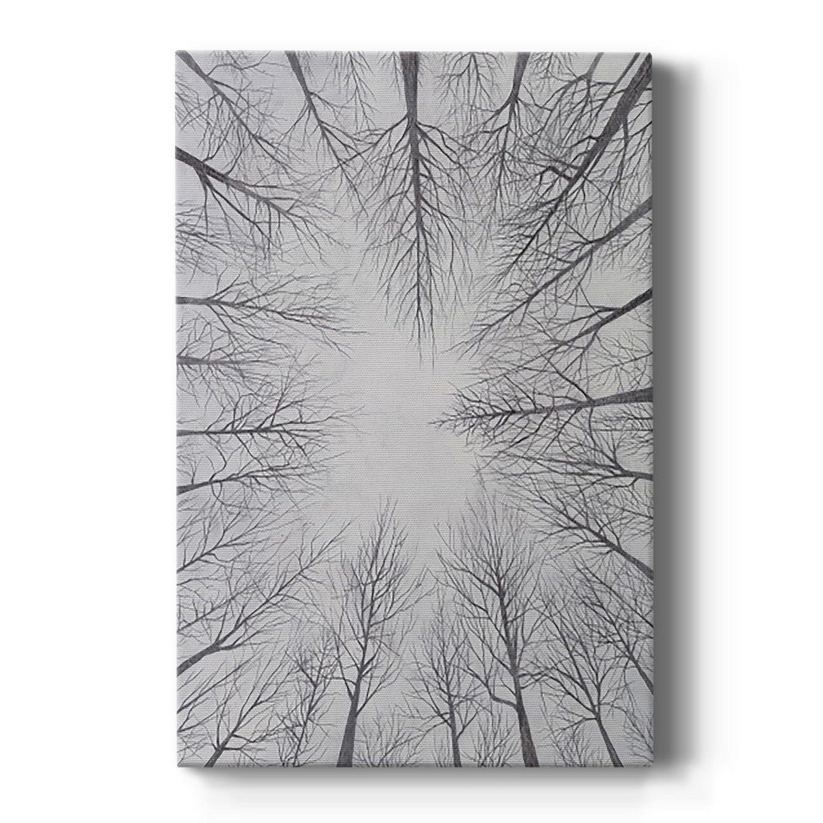 Deciduous Canopy I - Canvas Art Print