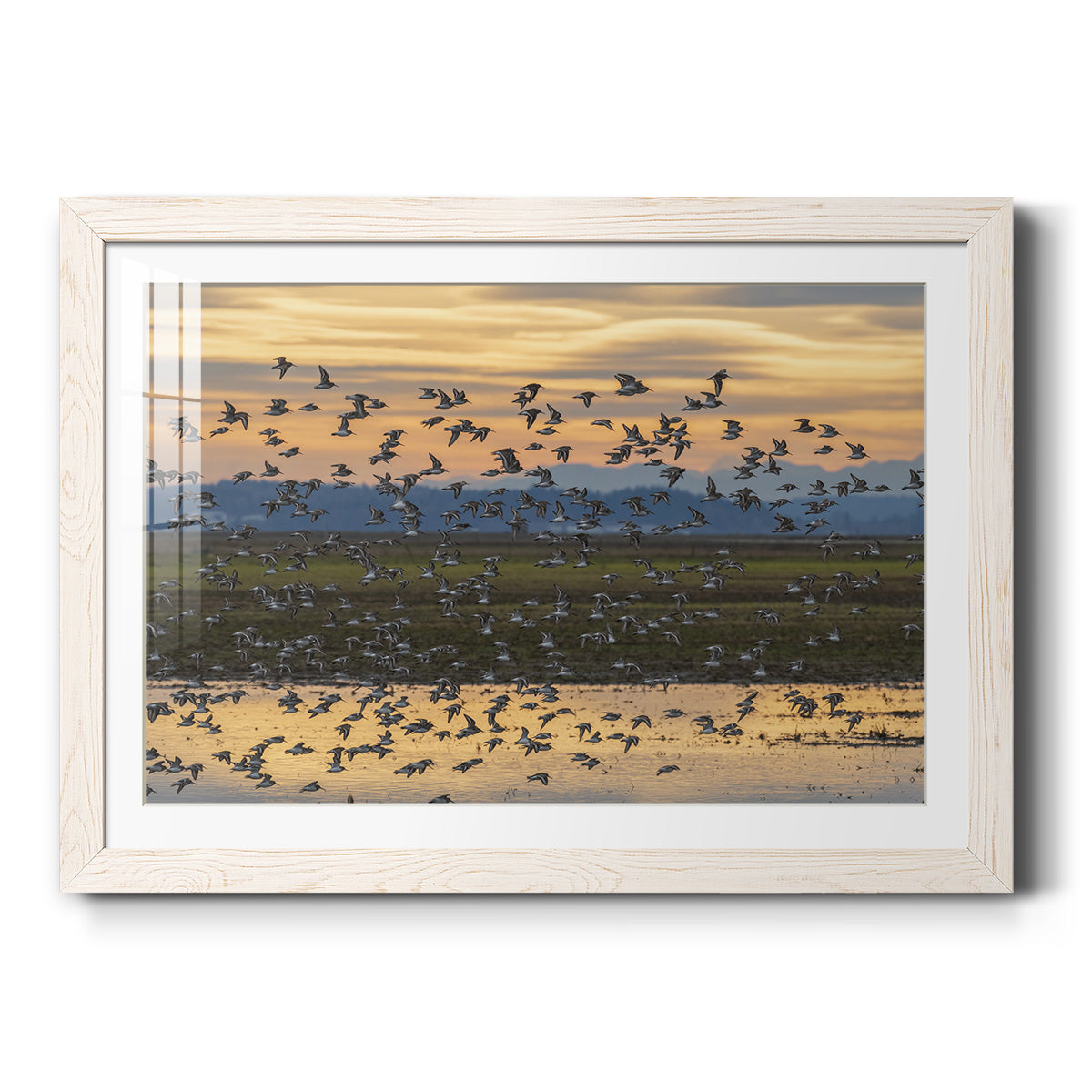 Celebrate-Premium Framed Print - Ready to Hang