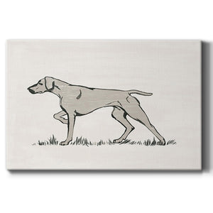 Neutral Pointer II Premium Gallery Wrapped Canvas - Ready to Hang