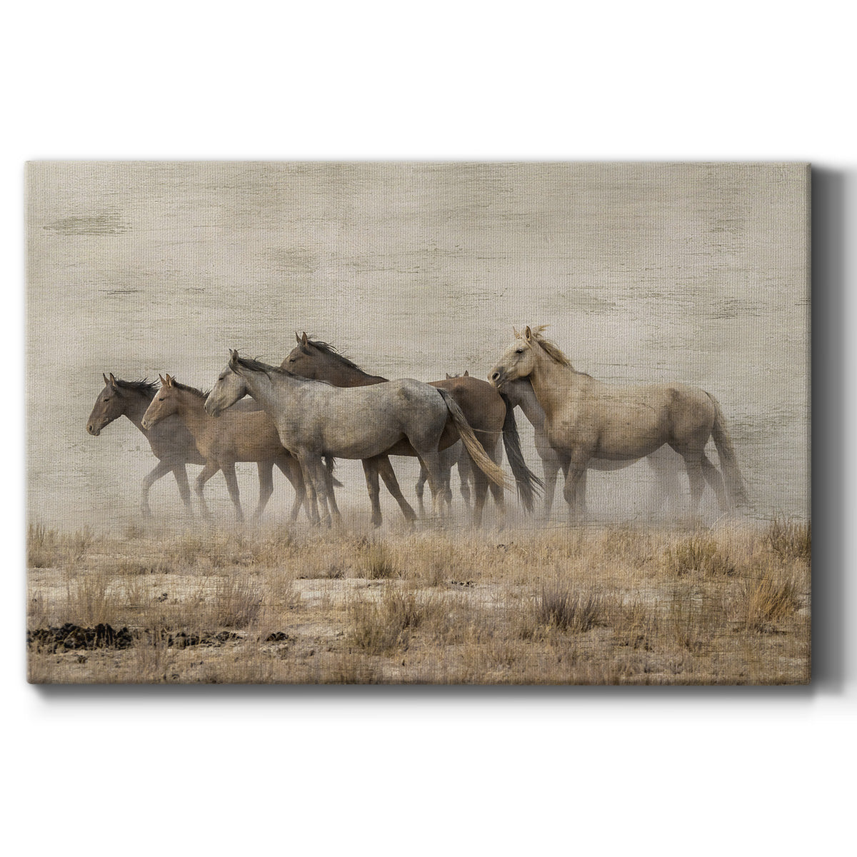 Roaming Free Premium Gallery Wrapped Canvas - Ready to Hang