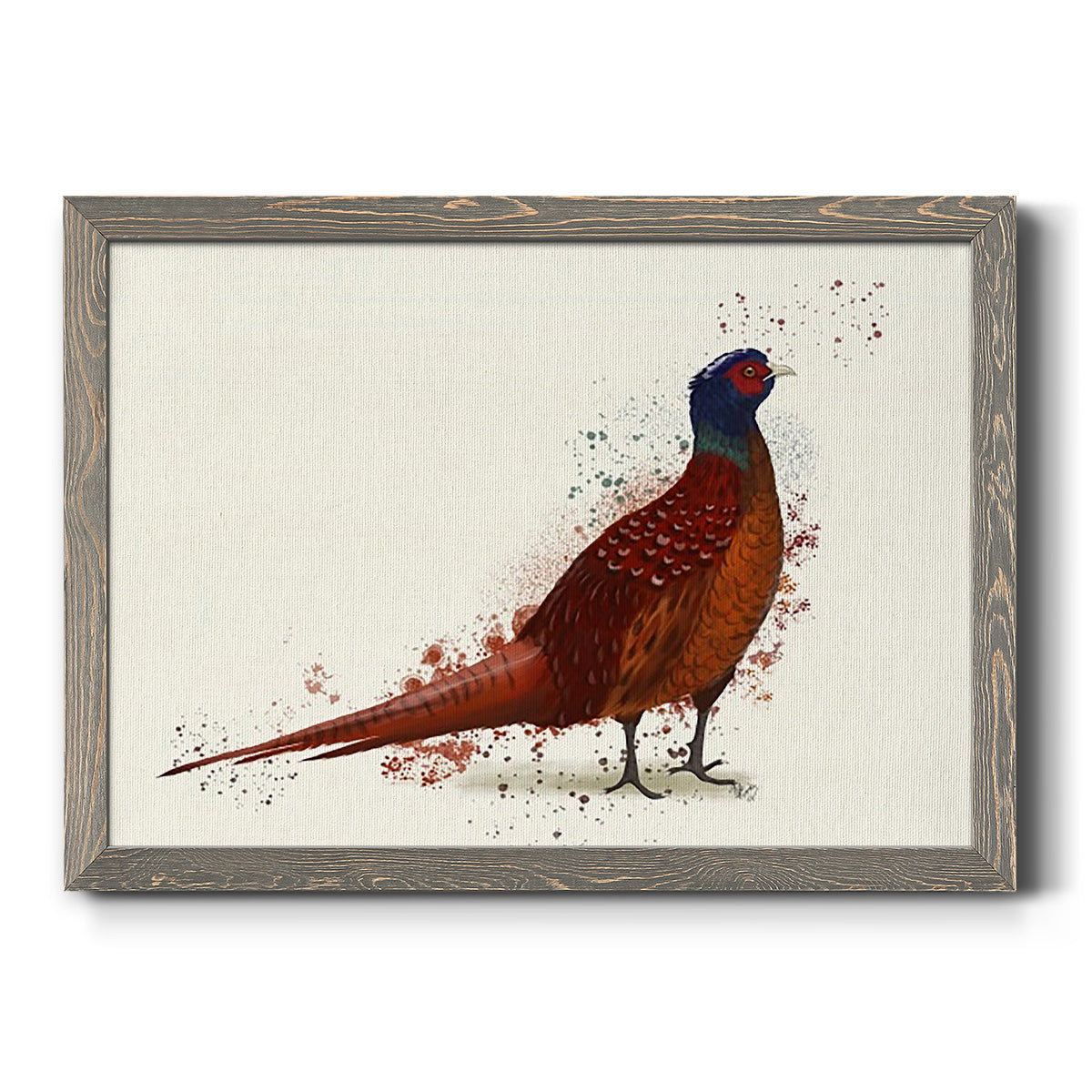 Pheasant Splash 4-Premium Framed Canvas - Ready to Hang