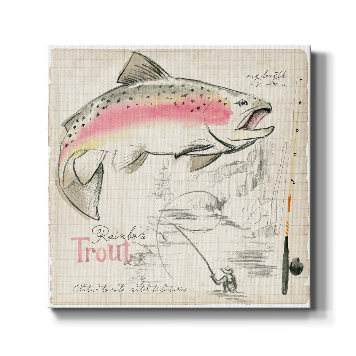Trout Journal I - Canvas Art Print