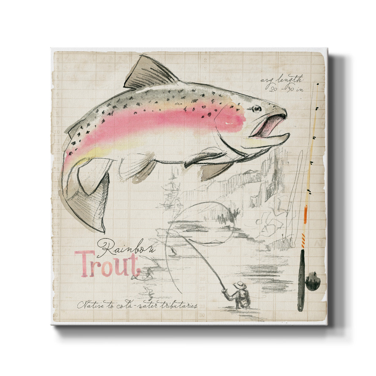 Trout Journal I-Premium Gallery Wrapped Canvas - Ready to Hang