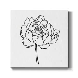 Peony Contour I-Premium Gallery Wrapped Canvas - Ready to Hang