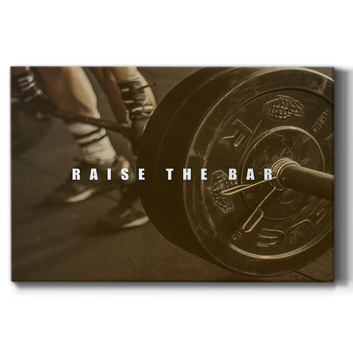 Bro-Inspo VI - Canvas Art Print