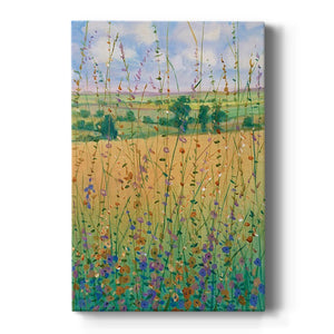 Wildflower Path II Premium Gallery Wrapped Canvas - Ready to Hang
