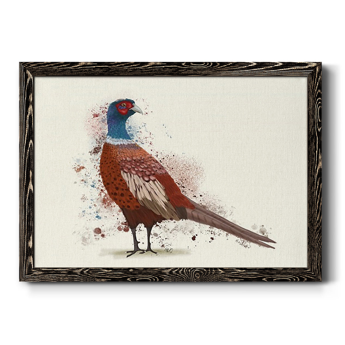 Pheasant Splash 5-Premium Framed Canvas - Ready to Hang