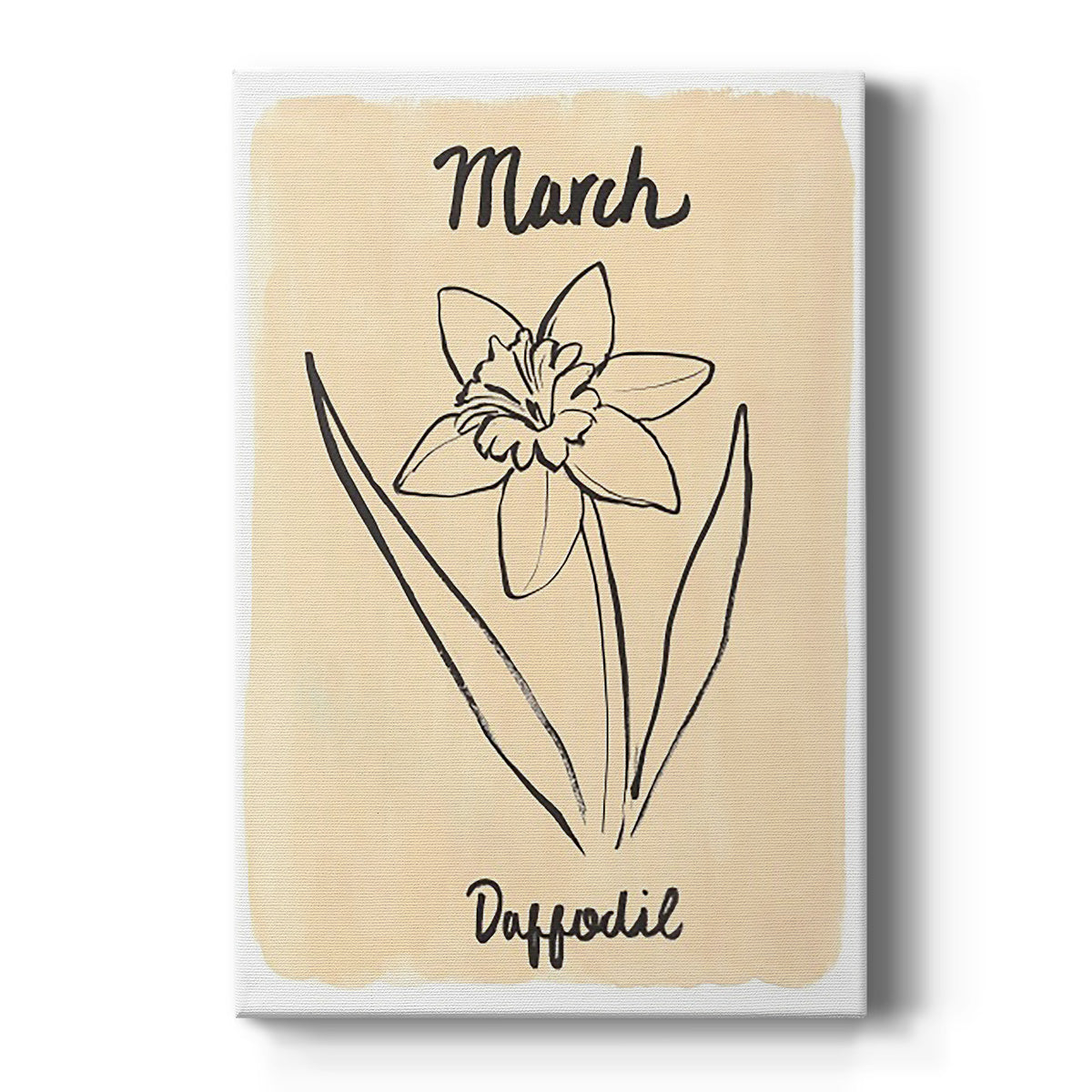 Birth Month III - Canvas Art Print